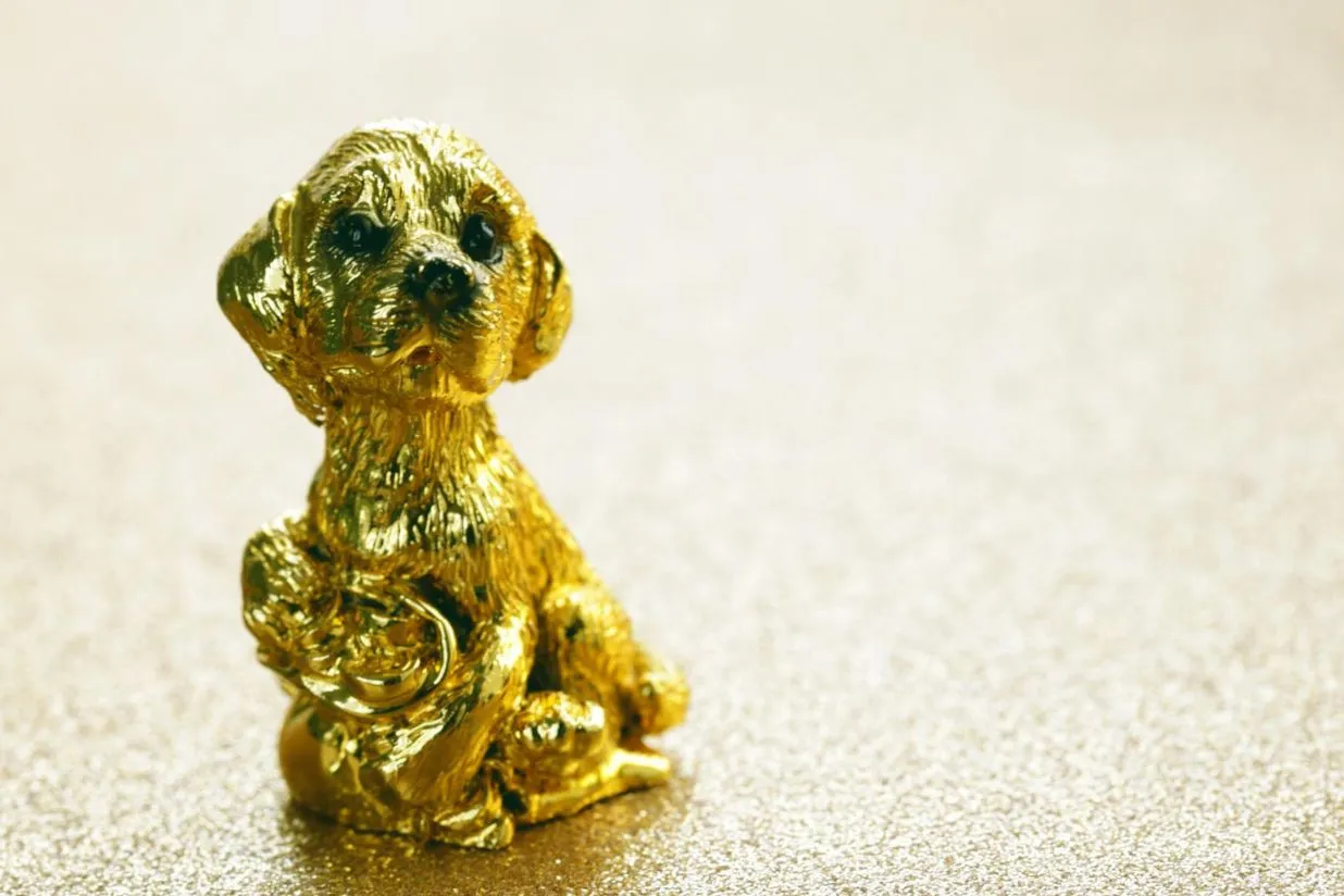 Cómo honrar la memoria de tu mascota y superar su pérdida