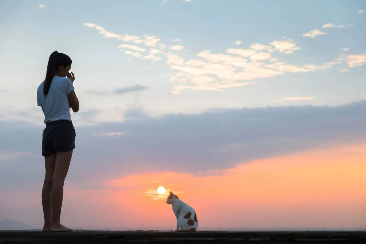 Diferencias entre incineración de mascotas individual y colectiva: ¿Cuál elegir para tu amigo peludo?