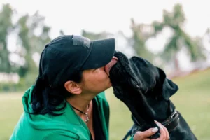 Aprende a evaluar la calidad de vida de tu mascota senior, reconoce las señales de sufrimiento y descubre cómo prepararte para una despedida digna
