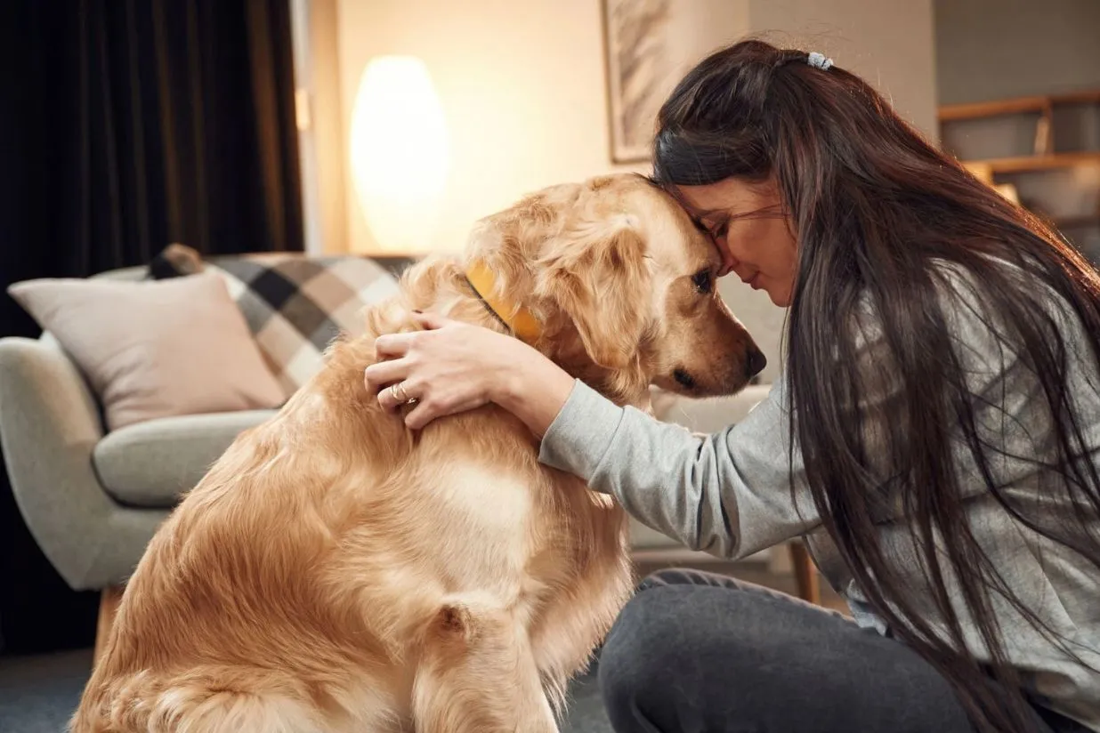 ¿Cuándo es el momento de decir adiós? Guía sobre el bienestar en mascotas senior