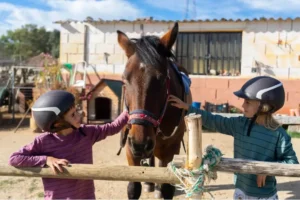 Incineración de equinos diferencias y guía de despedida