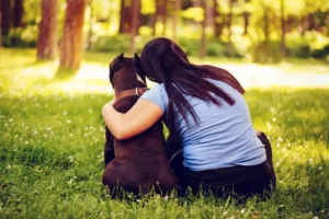 Cómo funciona el servicio de recogida de mascotas a domicilio y centros veterinarios
